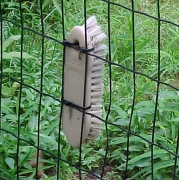 bobcat back scratcher