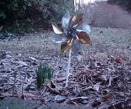 daffodils next to the pinwheel